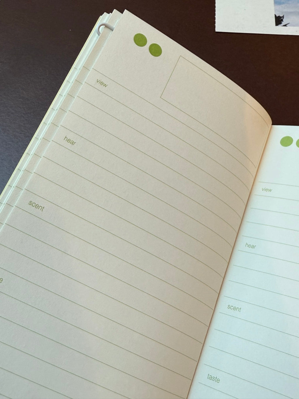 zesty note : five senses daily log