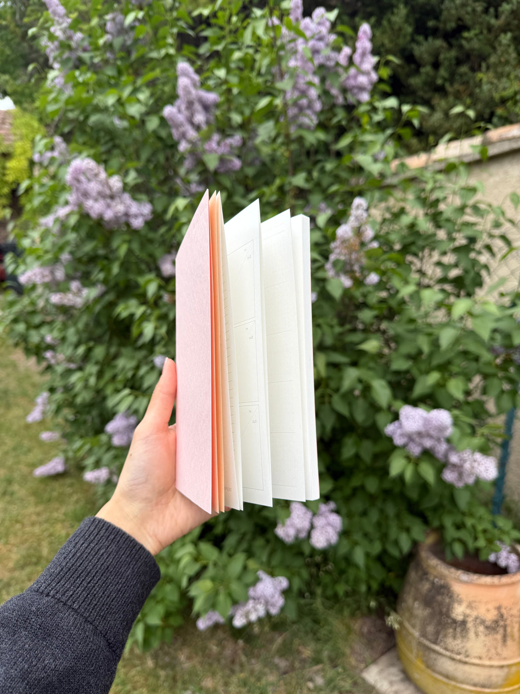 Timeless Explorer : 6-Month Undated Planner
