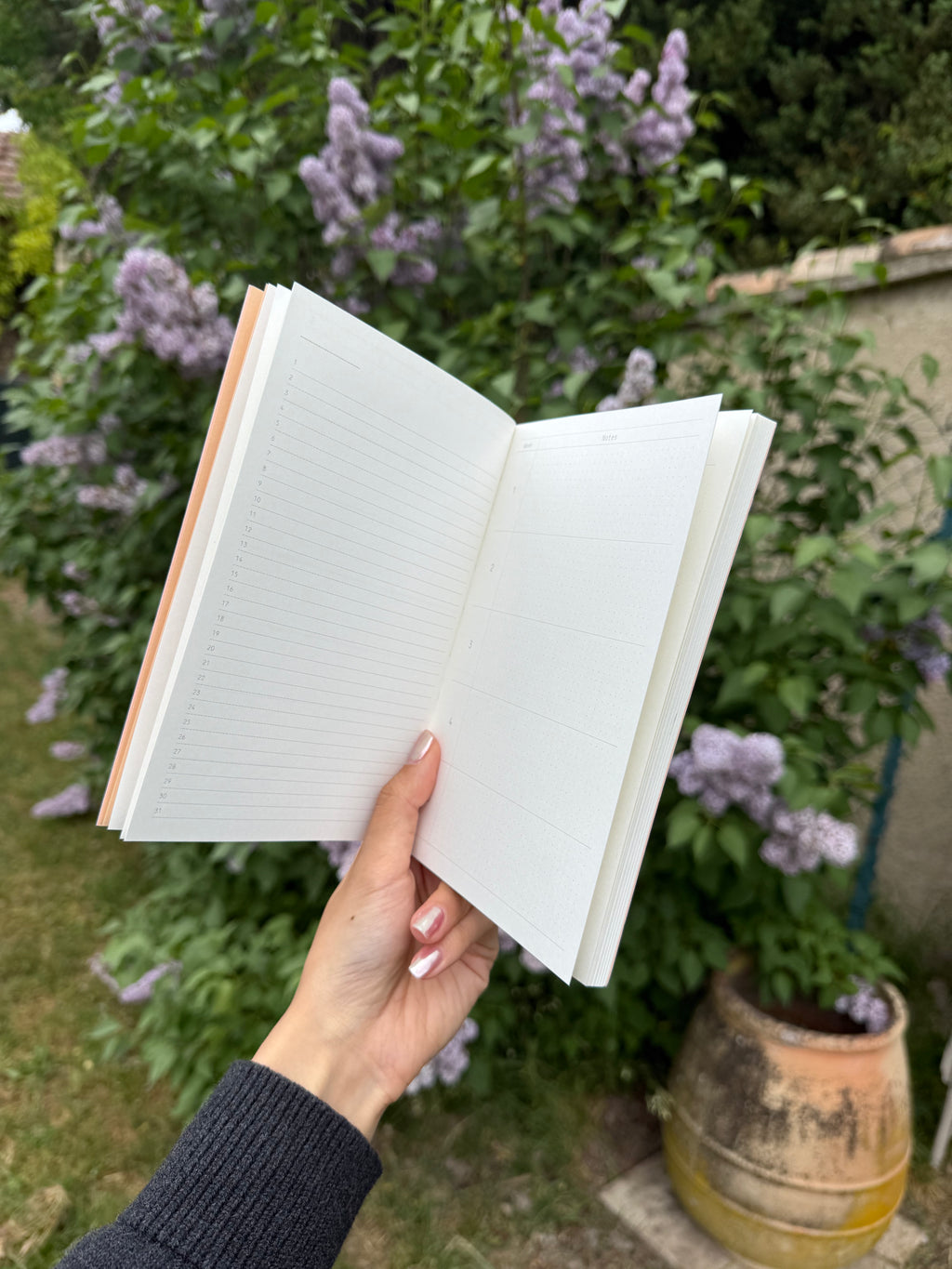 Timeless Explorer : 6-Month Undated Planner